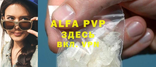 прущие грибы Богданович
