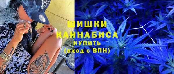амф Богородицк